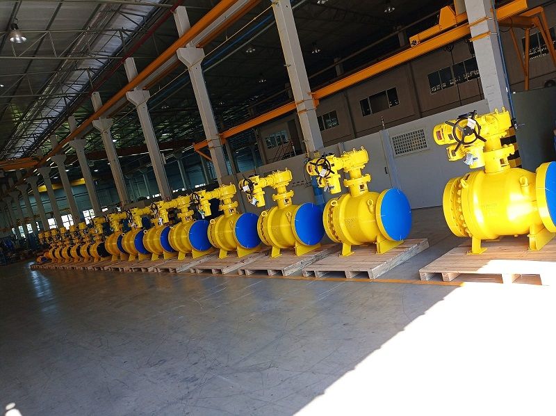 WhatsApp Image 2023-10-31 at 14.30.38.jpg